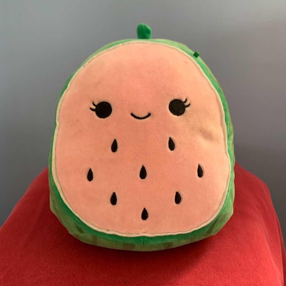 Squishmallow Wanda the Watermelon